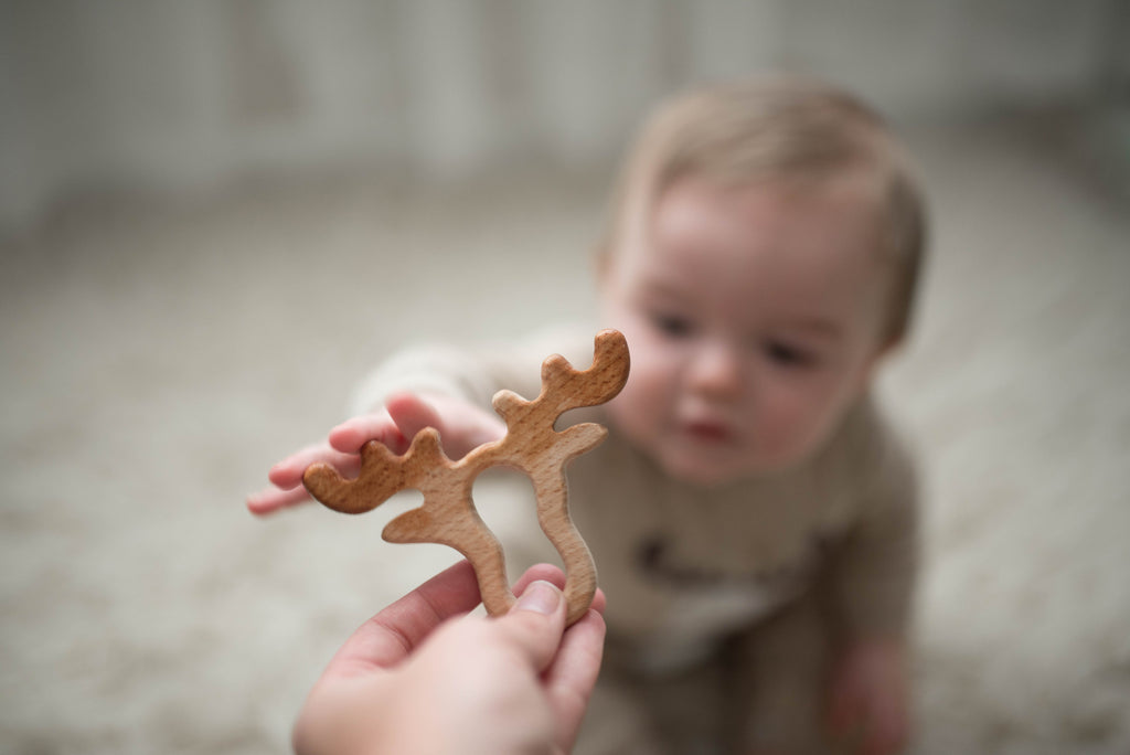 Why does wood make the best baby teether?  Research might surprise you.