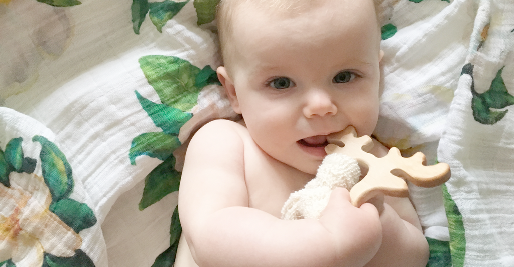 All about teething